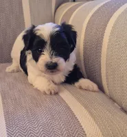 processed/a21252e1-f073-429a-9c49-c2d27a2d9608/listing/d51d0207-1b1c-4a92-bed8-12be8d325dc7/87d79d97-e696-49dc-92c7-d7452ee92c11