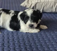 processed/a21252e1-f073-429a-9c49-c2d27a2d9608/listing/d51d0207-1b1c-4a92-bed8-12be8d325dc7/cf731f84-acdd-4af2-9079-bcc995ffa51a