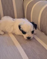 processed/a21252e1-f073-429a-9c49-c2d27a2d9608/listing/ddf1d840-825e-45cf-bdaf-cdbb8b1e87a6/678dfb2a-1d31-4a32-b971-088a5979d568