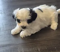 processed/a21252e1-f073-429a-9c49-c2d27a2d9608/listing/ddf1d840-825e-45cf-bdaf-cdbb8b1e87a6/93e22dc8-cb97-4ca0-833d-26f5982002a7