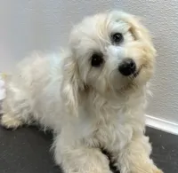 processed/a214082e-ffd7-49d8-8785-942b1b46092b/facility/24bbf897-53df-46b6-9eb4-c459df6b0c75