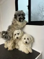 processed/a214082e-ffd7-49d8-8785-942b1b46092b/facility/bc54e71f-2c37-444b-b5df-1afb0af98eb7