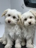 processed/a214082e-ffd7-49d8-8785-942b1b46092b/facility/ef860fc4-9039-4add-a574-5e79e5c0d7ed