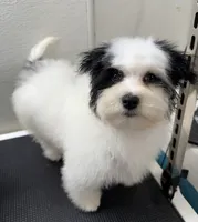 processed/a214082e-ffd7-49d8-8785-942b1b46092b/listing/e5fb6d46-d9d9-411b-a686-2410efbf065c/2570ac22-34cd-4c40-ad9c-ac7e4b565073