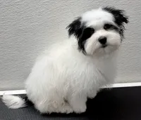 processed/a214082e-ffd7-49d8-8785-942b1b46092b/listing/e5fb6d46-d9d9-411b-a686-2410efbf065c/3a13e0bb-7d6f-4bb7-9380-d65f41a005eb