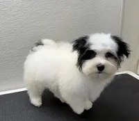 processed/a214082e-ffd7-49d8-8785-942b1b46092b/listing/e5fb6d46-d9d9-411b-a686-2410efbf065c/ac563020-fea6-43b8-80be-f0fdc08380a6