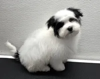 processed/a214082e-ffd7-49d8-8785-942b1b46092b/listing/e5fb6d46-d9d9-411b-a686-2410efbf065c/f8805cf0-77f4-48d6-8846-849ea98bb00d