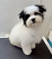 processed/a214082e-ffd7-49d8-8785-942b1b46092b/listing/e5fb6d46-d9d9-411b-a686-2410efbf065c/fa06493e-8f96-4297-8e02-3162e91666c9