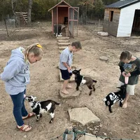 processed/a2156132-fc5e-46e6-83bc-4ce46b0b2aad/facility/001ad8d9-e41f-43f4-b26e-2735ea7f693d