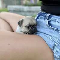 processed/a2156132-fc5e-46e6-83bc-4ce46b0b2aad/facility/0287991a-0e1a-4183-bb89-351143005eff