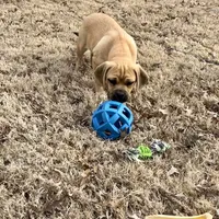 processed/a2156132-fc5e-46e6-83bc-4ce46b0b2aad/facility/1ea95f07-4b54-4e50-a426-0463970dfb08