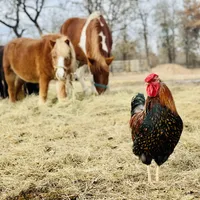 processed/a2156132-fc5e-46e6-83bc-4ce46b0b2aad/facility/6b1d5ccc-e37a-4a75-8efa-c0b1d11b0eed