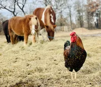 processed/a2156132-fc5e-46e6-83bc-4ce46b0b2aad/facility/6b1d5ccc-e37a-4a75-8efa-c0b1d11b0eed