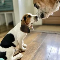 processed/a2156132-fc5e-46e6-83bc-4ce46b0b2aad/facility/9862b697-c1c7-40cd-b37c-733d883eb681