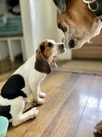 processed/a2156132-fc5e-46e6-83bc-4ce46b0b2aad/facility/9862b697-c1c7-40cd-b37c-733d883eb681