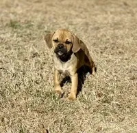 processed/a2156132-fc5e-46e6-83bc-4ce46b0b2aad/listing/29cc72f6-30e1-44c3-8b48-a2e2144484c8/c5c04d4f-45a4-4fa9-92df-b3401163d916