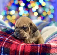 processed/a2156132-fc5e-46e6-83bc-4ce46b0b2aad/listing/29cc72f6-30e1-44c3-8b48-a2e2144484c8/e8a32d80-8d81-47a0-9b12-64622746427a