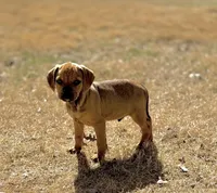 processed/a2156132-fc5e-46e6-83bc-4ce46b0b2aad/listing/7ff48079-8727-4aa7-91dd-7cef07068eff/36af4821-a2fb-47bf-9e78-e7192d175e97