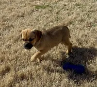 processed/a2156132-fc5e-46e6-83bc-4ce46b0b2aad/listing/7ff48079-8727-4aa7-91dd-7cef07068eff/4b61a17b-fdc6-4368-866d-a970652a3cf5