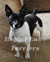 processed/a216d006-2eac-449b-b4f8-334ebbaae7ca/listing/133813c7-c7aa-43f1-bbaa-ddb14cab1390/1560c547-cd19-491f-86c0-6f98d12899d0