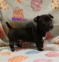 processed/a216d006-2eac-449b-b4f8-334ebbaae7ca/listing/2d97257f-a0ff-4a66-9074-57b2bc6c84df/255ed501-a4b7-4d7d-81fc-82e18c4c720d