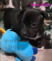 processed/a216d006-2eac-449b-b4f8-334ebbaae7ca/listing/2d97257f-a0ff-4a66-9074-57b2bc6c84df/839062b8-6762-429a-bf45-4cdc580c88ea