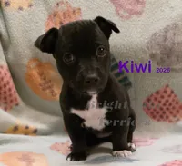 processed/a216d006-2eac-449b-b4f8-334ebbaae7ca/listing/2d97257f-a0ff-4a66-9074-57b2bc6c84df/a1e4e677-6d81-474b-83a7-4e2c9f9a5a9b