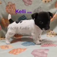 processed/a216d006-2eac-449b-b4f8-334ebbaae7ca/listing/611311ac-7680-41d5-b2ca-5d012653f3d6/38f87d97-e0c2-4ada-9d18-9fe244c98c4c