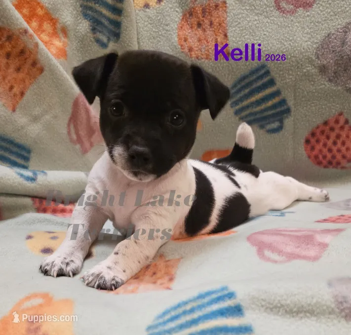 Kelli- TRT
