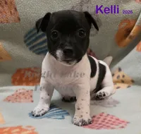 processed/a216d006-2eac-449b-b4f8-334ebbaae7ca/listing/611311ac-7680-41d5-b2ca-5d012653f3d6/f8fb65f7-ec2e-4b33-9fd7-284de31337b6