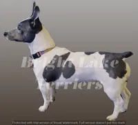 processed/a216d006-2eac-449b-b4f8-334ebbaae7ca/listing/cfc9e9b5-7d11-4b69-aab2-cb445967811d/6b86b6a8-3058-4e4c-999b-e0a583c92523