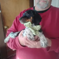 processed/a2194bc6-9d67-4e6b-adfe-9e345c36a889/listing/041d0d18-8fc0-4d23-a117-358e20714163/0975b180-86e3-41a0-9b7e-517cc57ca588