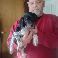 processed/a2194bc6-9d67-4e6b-adfe-9e345c36a889/listing/041d0d18-8fc0-4d23-a117-358e20714163/4899e6e7-2a49-415a-9f71-7fe3aa5390f1