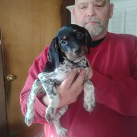 processed/a2194bc6-9d67-4e6b-adfe-9e345c36a889/listing/041d0d18-8fc0-4d23-a117-358e20714163/71cfa822-49ab-4f12-8026-89c549b721bf