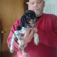 processed/a2194bc6-9d67-4e6b-adfe-9e345c36a889/listing/041d0d18-8fc0-4d23-a117-358e20714163/9c0b7814-6e83-48c2-bcab-1521f96cc8d2