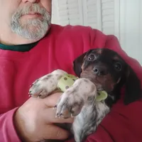 processed/a2194bc6-9d67-4e6b-adfe-9e345c36a889/listing/041d0d18-8fc0-4d23-a117-358e20714163/e92fdd31-37b0-405c-99ec-3040bcca8a6f