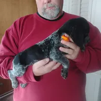 processed/a2194bc6-9d67-4e6b-adfe-9e345c36a889/listing/2b44883d-f41f-40a0-92b6-643f0578af62/53c3090e-b320-4c60-9161-0e36bfb6c8ad