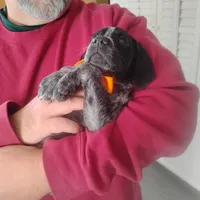 processed/a2194bc6-9d67-4e6b-adfe-9e345c36a889/listing/2b44883d-f41f-40a0-92b6-643f0578af62/55ce2ea1-79ae-4297-98db-cd0bd506aaf5