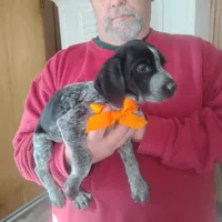 processed/a2194bc6-9d67-4e6b-adfe-9e345c36a889/listing/2b44883d-f41f-40a0-92b6-643f0578af62/894b309f-8849-43ad-b6b4-06a428b18033