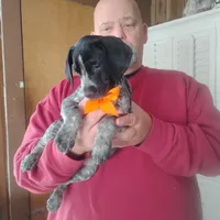 processed/a2194bc6-9d67-4e6b-adfe-9e345c36a889/listing/2b44883d-f41f-40a0-92b6-643f0578af62/99ba6436-1c2c-48c8-a4ce-0d3939a8213f