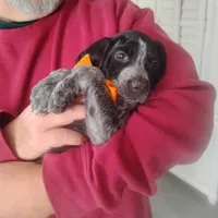 processed/a2194bc6-9d67-4e6b-adfe-9e345c36a889/listing/2b44883d-f41f-40a0-92b6-643f0578af62/ba910f27-6b76-494b-9397-6a4b7e73028e