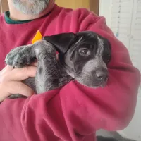 processed/a2194bc6-9d67-4e6b-adfe-9e345c36a889/listing/2b44883d-f41f-40a0-92b6-643f0578af62/ed345418-0669-4a9e-bf98-aa9880deebd9