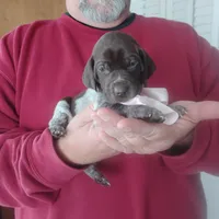 processed/a2194bc6-9d67-4e6b-adfe-9e345c36a889/listing/2f99a9f2-d6c6-46cd-9b94-273f394f62b6/0168487c-2389-4d63-909b-4b3aca66b935