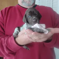 processed/a2194bc6-9d67-4e6b-adfe-9e345c36a889/listing/2f99a9f2-d6c6-46cd-9b94-273f394f62b6/1103276b-77a8-4543-8256-281f4829b3b2