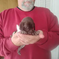 processed/a2194bc6-9d67-4e6b-adfe-9e345c36a889/listing/2f99a9f2-d6c6-46cd-9b94-273f394f62b6/364b16ac-7c61-4019-940d-1ff7497ea7a9