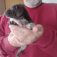 processed/a2194bc6-9d67-4e6b-adfe-9e345c36a889/listing/2f99a9f2-d6c6-46cd-9b94-273f394f62b6/441e242b-6408-41ef-aa95-2b22cefd273e