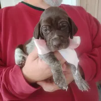 processed/a2194bc6-9d67-4e6b-adfe-9e345c36a889/listing/2f99a9f2-d6c6-46cd-9b94-273f394f62b6/8399e48c-1bb5-4423-92a4-a0fb60c7f856