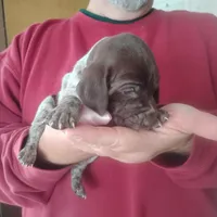 processed/a2194bc6-9d67-4e6b-adfe-9e345c36a889/listing/2f99a9f2-d6c6-46cd-9b94-273f394f62b6/894853c5-c8d3-4f4c-8d3c-2c26bf1b5e1c