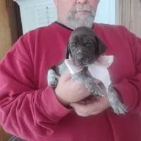 processed/a2194bc6-9d67-4e6b-adfe-9e345c36a889/listing/2f99a9f2-d6c6-46cd-9b94-273f394f62b6/a77badcd-2ca8-4cf9-babf-28d2d9e7116b