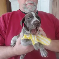 processed/a2194bc6-9d67-4e6b-adfe-9e345c36a889/listing/32527b57-55dd-4860-a6e7-708358be7b3c/108716c9-b759-4843-aa20-4a30af235807